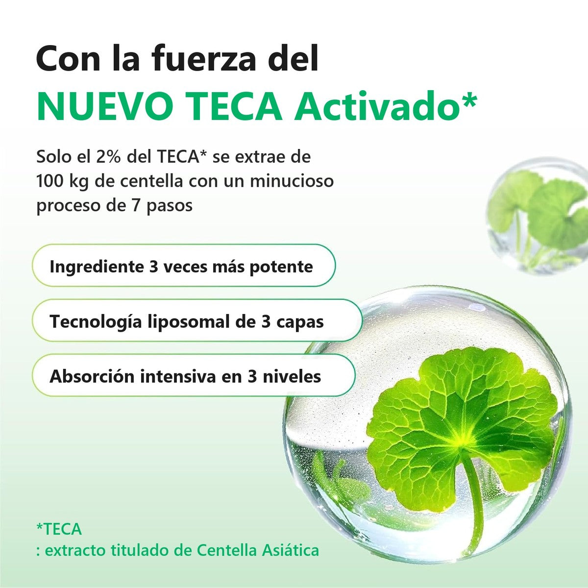 Centella asi&aacute;tica activada