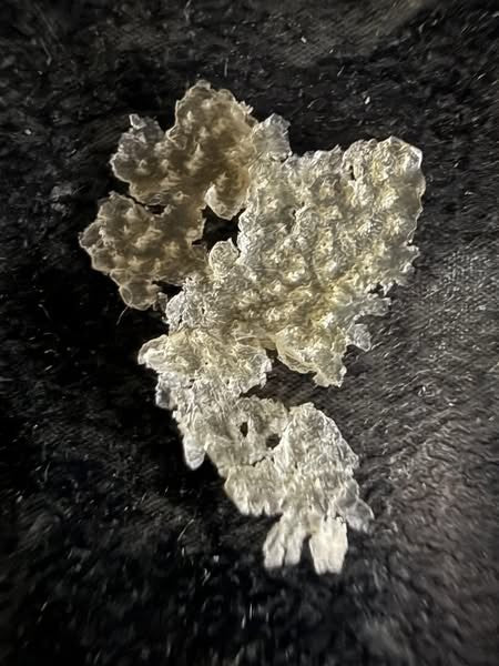 Escamas de cuero cabelludo sobre tela oscura